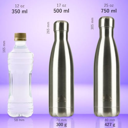 Mont-Clair Stainless Steel Water Bottle, Vacuum insulated - BPA Free, 12h Hot & 24h Cold Drinks, Metal Water Bottle 17 oz Leakproof, Ideal for Adult, Kids, Running - Purple - color: Purple, style: 17 Ounces