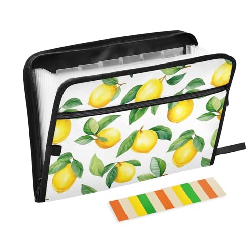 Lemons Watercolor File Folders,Plastic Folders with 13 Pockets,Expandable File Folder for Documents School Students Office,Aesthetic Folder with Labels A4 Letter Size - color: Multi 16