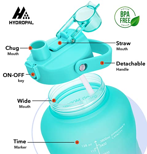HydroPal 1 Gallon Water Bottles with Straw, 128 oz Water Bottle BPA Free Innovative 2-IN-1 Lid Gym Bottle with Times to Drink Motivational, Large for Sports Fitness Camping Water Jug （13.8X5.5 inch） - color: Fantasy Forest
