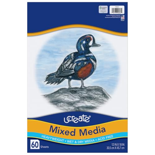 UCREATE Mixed Media Art Paper PAC4843, 12" x 18", Heavyweight, 60 Sheets/Pack, Case of 12 Packs, 720 Sheets Total - size: 60 Count (Pack of 12)