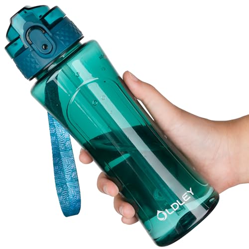 OLDLEY Kids Water Bottle with Straw 15 oz BPA-Free Leak-Proof Motivational Water Bottles with Time Marker for School Sports Travel Gym, Easy to Use for Girls Goys, 1 Straw Lid,Transparent-dark green - color: A-Transparent Dark Green, style: Straw Lid