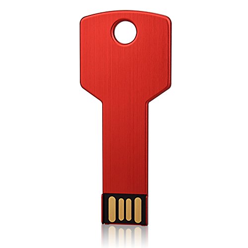 RAOYI 10 Pack 8GB USB Flash Drive USB 2.0 Metal Key Shape Memory Stick Thumb Drive Pen Drive-Red - color: Red, size: 8GB
