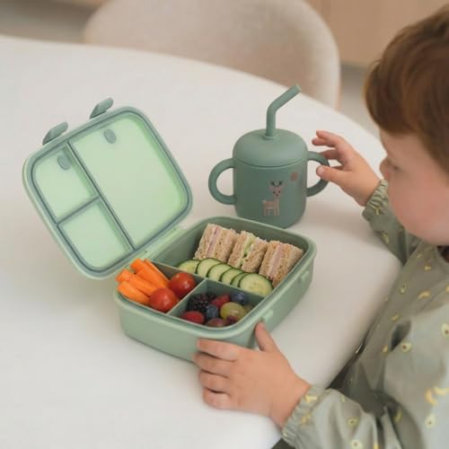 Kids Bento Explorer Lunch Box, 3 No-Mix Compartments, Microwave & Dishwasher Safe, Lightweight with Removable Tray, for Daycare, Preschool, School (Green Light Mint) - color: Green Light Mint