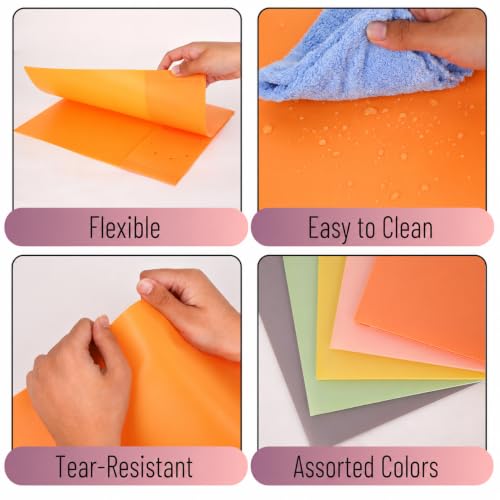 Mr. Pen- Plastic Folders with Pockets, 15 pcs, Colorful | Aesthetic File Folder with Business Card Slot, 2-Pocket Folder, Back to School, Office, Filing Supplies - color: Harvest Hues, size: 15 Pack