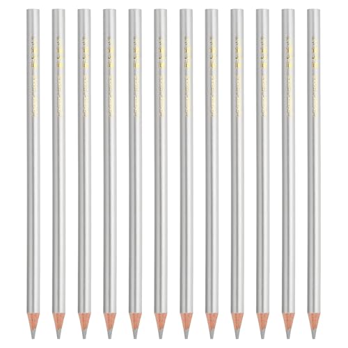PATIKIL Silver Colored Pencils Set,12 Pcs Oil Color Pencils Wooden Coloring Drawing Pencil for Artists Art Painting - color: Silver