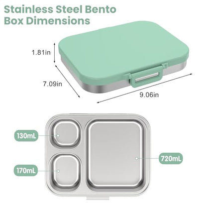 Pawtong Stainless Steel Bento Lunch Box for Kids | 3-Compartment Lunch Box Container Kids | 100% Leakproof, Eco-Friendly, Perfect Portion Control for Kids&Adult Healthy Meals (Green) - color: Green