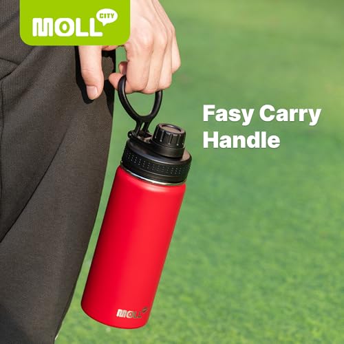 Small Water Bottle for kids-12 oz Stainless Steel Vacuum Insulated Wide Mouth Water Bottle with Spout Lid (Canyon Red) - color: Canyon Red, size: 12 Ounces