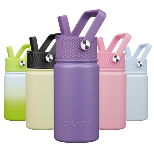 BJPKPK Insulated Water Bottle, 15oz Stainless Steel with Straw Lid | Leak Proof, BPA-Free, Vacuum Insulated, Keep Drink Cold & Hot, Metal Water Bottle for Travel, Gym, Office, Cupholder Friendly - color: Iris, style: N-15oz-Color Lid