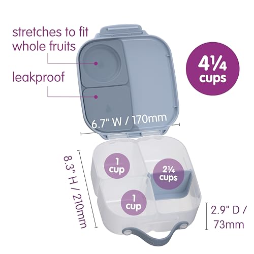 b.box Mini Lunch Box Kids | 4.25 Cup Leak Proof Bento Box for Kids Ages 3+ | 3 Compartment Snack Containers, School Lunch Container, Dishwasher Safe, BPA-Free, PFAS-Free - Chill Out - color: Chill Out, size: 1-pack