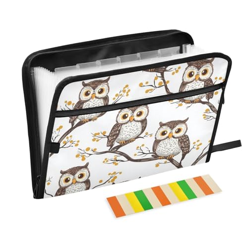 Branch Owl File Folders, Plastic Folders with 13 Pockets, Expandable File Folder for Documents School Students Office, Aesthetic Folder with Labels A4 Letter Size - color: Multicolor 25