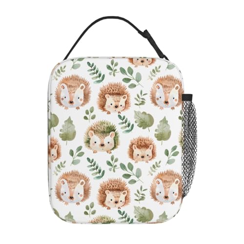 Insulated Lunch Box for Kids Boys Girls, Reusable Lunch Bag for School, Office, Work, Picnic, Travel, Cute Hedgehog Lunch Box - color: lunch box 81