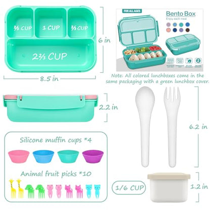 QQKO Bento Box for Kids Adults, School Toddler Lunch Box for Boys Girls, Lunch Box Containers with 4 Compartments, Sauce Container, Utensils, Food Picks and Muffin Cups for School, Pink Green - color: Pink Green
