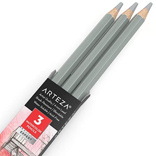 Arteza Professional Watercolor Pencils, Pack of 3, A007 Steel Gray, Water-Soluble Pencils for Coloring, Blending, Layering & Watercolor Techniques - color: A007 Steel Gray, size: 1 Count (Pack of 3)