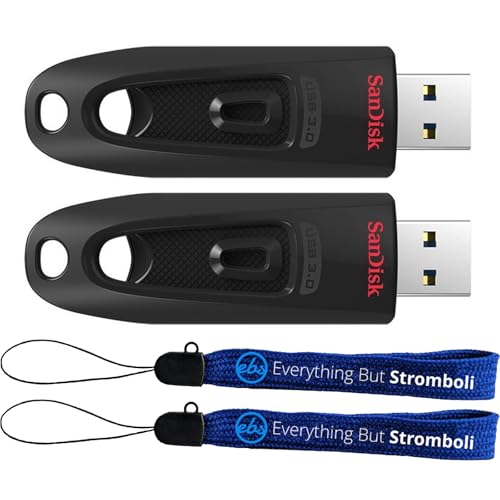 SanDisk Type-A Ultra USB 3.0 32GB Flash Drive (2 Pack) Up to 130 MB/s Read Speed Compatible with Computers and Laptops (SDCZ48-032G-U46) Bundle with (2) Everything But Stromboli Lanyards