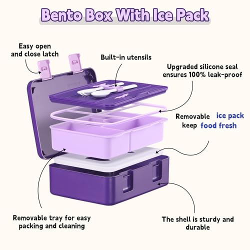 rockpapa Chill Bento Box for Kids- Large 5.5 Cups Lunch Box with Ice Pack - 5 Compartments, BPA-Free, Leak Proof, with Utensils & Portable Handle, Microwave/Dishwasher Safe (Purple Butterfly) - color: Purple Butterfly