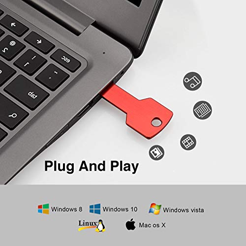 RAOYI 10 Pack 2GB USB Flash Drive USB 2.0 Metal Key Shape Memory Stick Thumb Drive Pen Drive-Red - color: Red, size: 2GB
