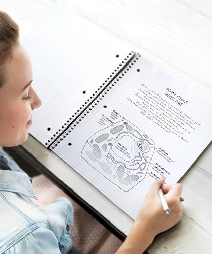 Dunwell Graph Paper Notebook 8.5 x 11, Plastic Cover, 80 Sheets, 4x4 Ruled, 1 Subject Spiral 1/4 Inch Grid Graphing Notebook, Divider with Pockets, Perforated Pages, 3-Hole Punched - size: 8.5x11", style: Graph Ruled