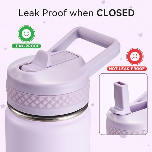 Fijinhom 12 oz Toddler Bottle, 2 Pack Kids Water Bottle for School Boys & Girls with Straws Lids, 304 Stainless Steel Vacuum Insulated Thermos, BPA-Free, Aurora + Gradient Purple - color: AA.Aurora & radient Purple