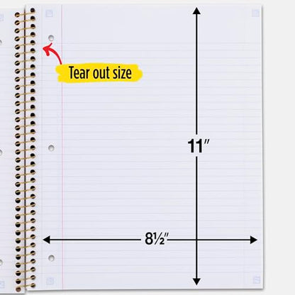 Five Star Spiral Notebooks, 1 Subject, College Ruled, 11" x 8-1/2", Cute Designs Bright Colors, 3 Pack, Design May Vary.