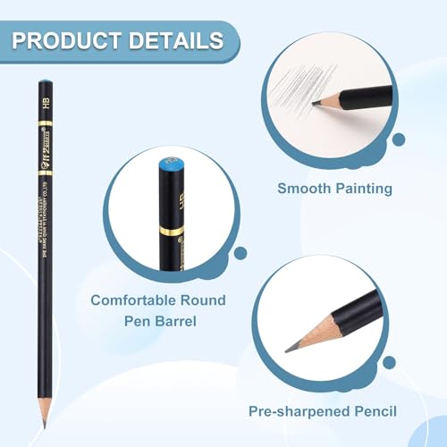 PATIKIL 12Pcs Drawing Pencils for Sketching, HB Refill Sketch Pencils for Drawing, Graphite Art Pencil Set Professional Resistant Lead for Painting Shading Artist Office Supplies - size: HB