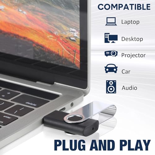 Aoriher 50 Pack USB 2.0 Flash Drives Bulk, Portable USB Thumb Drives with Lanyards, Swivel Flash Drives Thumb Drives for Office School Data Storage(Black,256mb) - size: 256MB