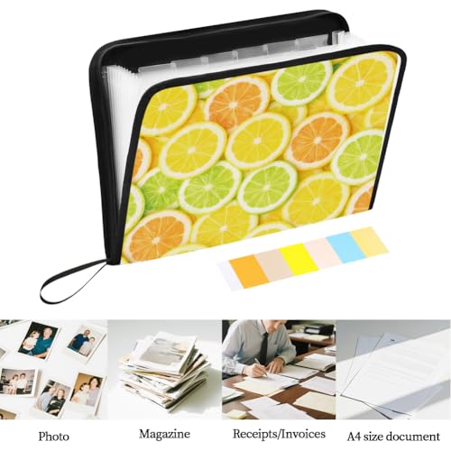 WEBEEDY 13 Pockets Expanding File Folder with Sticky Labels and Zipper, Lemon Theme Portable Accordion File Organizer Paperwork Folder for Documents A4 Paper Receipt Travel Office, Back to School