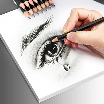 Heshengping Drawing Sketch Pencil Set 14pcs Sketching Pencils 12B 10B 8B 7B 6B 5B 4B 3B 2B B HB 2H 4H 6H Graphite Pencils for Kid Adults Artists Student Beginners Professional - color: Style3