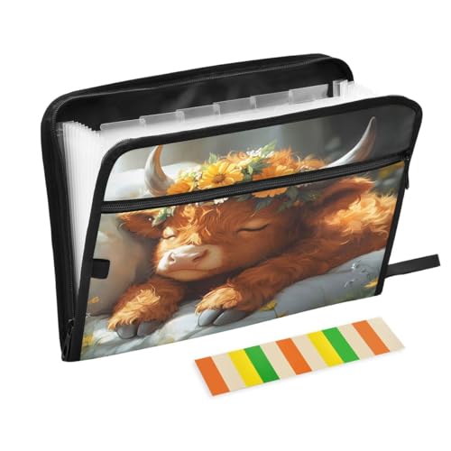 ALAZA Highland Cow Flower Floral Expandable Filing Folder Storage Organiser Box Files, 13 Pockets Zip Filing Folders for Home or Office Documents - color: Multicolored16