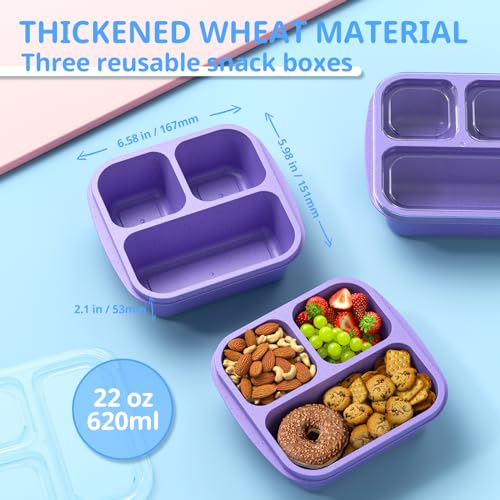 Snack Boxes (3 Pack) - Stackable Bento Boxes with 3 Compartments, Meal Prep Containers Reusable, Lightweight Lunch Containers for Kids and Adults, BPA Free (Purple) - color: Purple