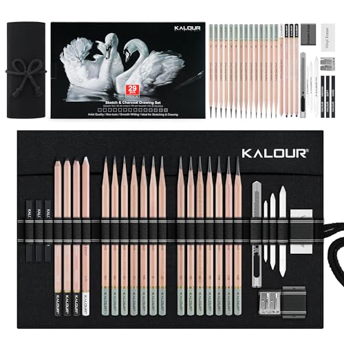 KALOUR 29 Pro Sketching Drawing Pencils Set with Roll-Up Nylon Case – 14 Graphite Pencils (14B–5H), Charcoal Pencils, Erasers, Sharpener & Stumps – Complete Art Kit for Artists & Beginner