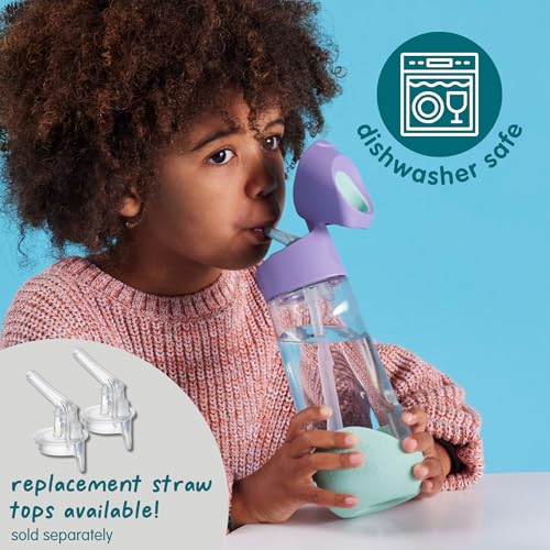 b.box Kids Water Bottle – Tritan Toddler Drink Bottle with Straw for School, Daycare, Travel w/ Easy-Grip Triangular Design, Leak Proof Lid & Handle, BPA Free, Dishwasher Safe (Passion Splash) - color: Purple, size: 15 Ounces