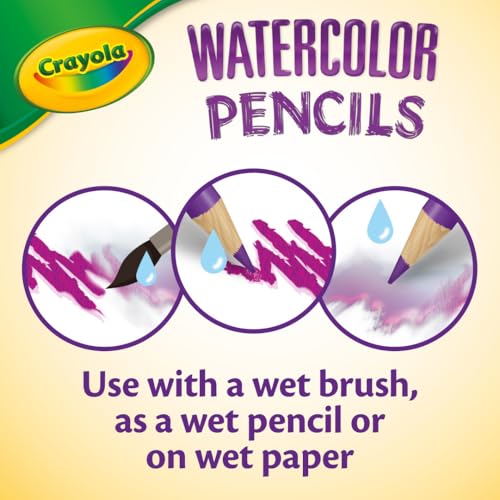 Crayola Classpack Watercolor Pencils, 240ct, 20 Each of 12 Colors, Teacher Appreciation Gifts, Classroom Must Haves & Essentials - style: Watercolor