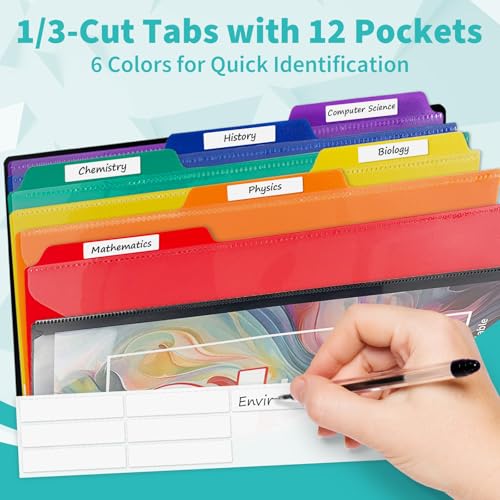 Binditek 12-Pocket Poly Project Organizer, 6 Dividers, Black | Multi Pocket Folder, Heavyweight Poly Cover, Clear Front Pocket, 1/3-Cut Tabs, Fixed Zipper Pouch, Letter Size - color: Black