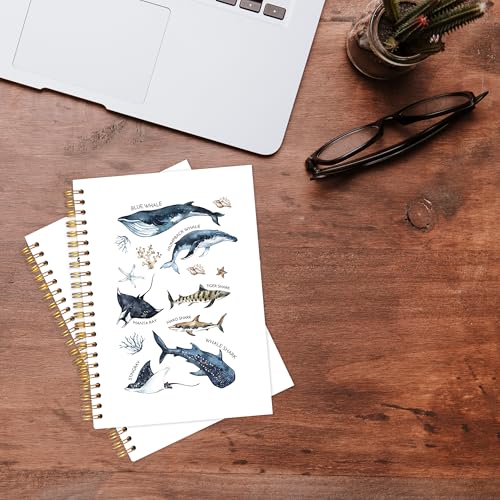 KAOWT Ocean Shark Notebook Journal, Whale Shark Gifts Office Supplies Notebooks for Note Taking, Marine Biology Ocean Journal, Beach Lover Gifts, Hardcover Spiral Notebook 5.5x8.3in - color: Summer notbook-shark