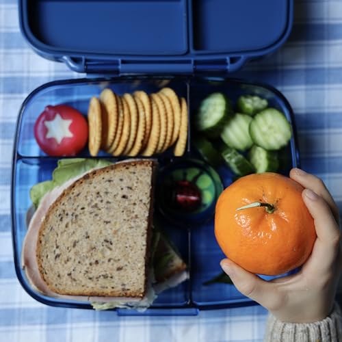 Yumbox Go Leakproof Bento Lunch Box, 5 Compartments, Oslo Blue | Deep Portioned Tray | Removable Silicone Gasket | Lightweight Construction | Fits Most Lunch Bags | Easy-Clean Design - color: Oslo Blue (dark blue)