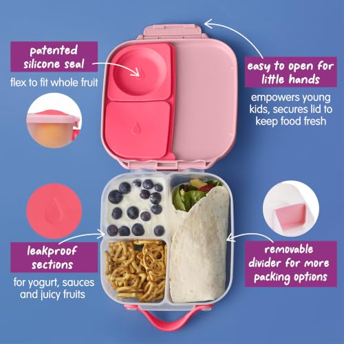 b.box Mini Lunch Box Kids | 4.25 Cup Leak Proof Bento Box for Kids Ages 3+ | 3 Compartment Snack Containers, School Lunch Container, Dishwasher Safe, BPA-Free, PFAS-Free - Flamingo Fizz - color: Flamingo Fizz, size: 1-pack