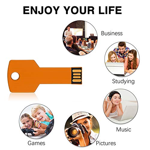 RAOYI 10 Pack 2GB USB Flash Drive USB 2.0 Metal Key Shape Memory Stick Thumb Drive Pen Drive-Gold - color: Gold, size: 2GB