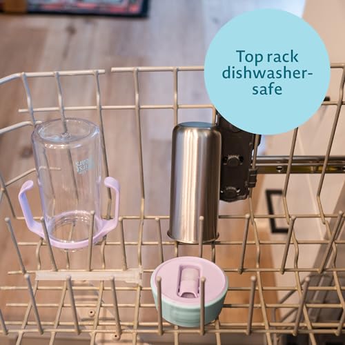 The First Years CoolCore Stainless Steel Straw Cup - Insulated Leak Proof Sippy Cup Trainer Converts to Toddler Water Bottle - Pop to Sip Design with Improved Flow - Light Blue/Light Purple - 8 Ounces - color: Light Blue/Light Purple