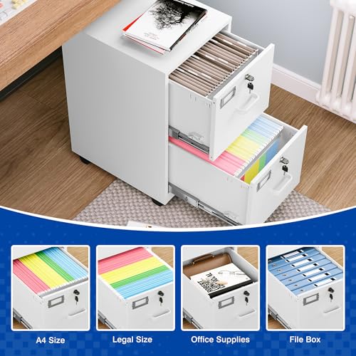 BYNSOE 2 Drawers File Cabinet with Lock Metal Vertical File Cabient with Wheels Mobile File Cabinet for Office Home Legal/Letter/a4 Size Require Assembly (White, 2 Drawers) - color: White, size: 2 Drawers-wheels