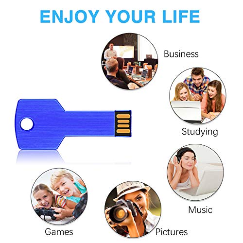 RAOYI 10 Pack 2GB USB Flash Drive USB 2.0 Metal Key Shape Memory Stick Thumb Drive Pen Drive-Blue - color: Blue, size: 2GB