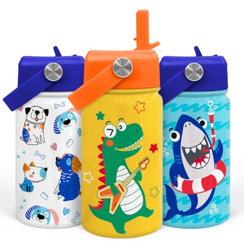 Dinosaurs Water Bottle - Dino Kids Water Bottle with Straw Lid - 12 Oz Insulated Stainless Steel Water Bottles for Kid Boys - Travel Cup for School Sports - color: Dinosaur 3