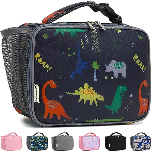 GYEUKHAM Insulated Lunch Box for School, Thermal Reusable Durable Freezable Lunch Bags for Kids Boys Girls Men Women - Small Soft Cooler Portable Lunch Tote Kit for Work Picnic Travel,Dinosaur - color: Dino#C