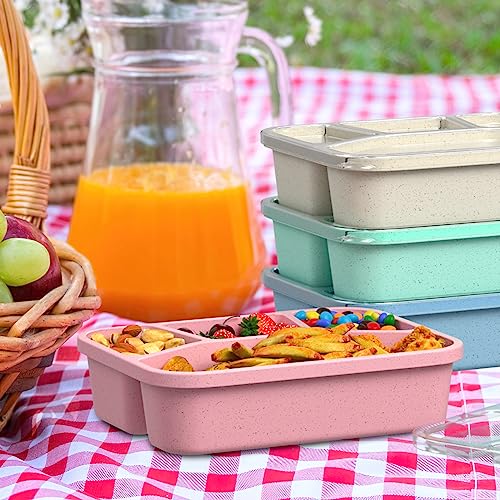 Bento Box Adult Lunch Box (4 Pack), 4-Compartment Meal Prep Container for Kids, Reusable Food Storage Containers with Transparent Lids, No BPA, Microwaveable (Wheat (Green/Blue/Pink/Beige)) - color: Wheat (Green/Blue/Pink/Beige)
