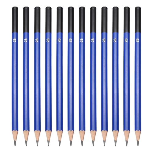PATIKIL 2B Drawing Pencils for Sketching, 12PCS Sketch Pencils for Drawing Art Pencils Graphite Wood Pre-sharpened for Drawing Sketching Artists, 2B Pencils - size: 1 Count (Pack of 1), style: 2B