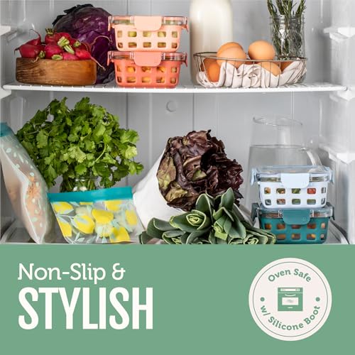 Ello Duraglass 3.4 Cup Meal Prep Sets 10Pc, 5 Pack Set- Glass Food Storage Container with Silicone Sleeve and Airtight BPA-Free Plastic Lids, Dishwasher, Microwave, and Freezer Safe, Olive Tree - color: Olive Tree