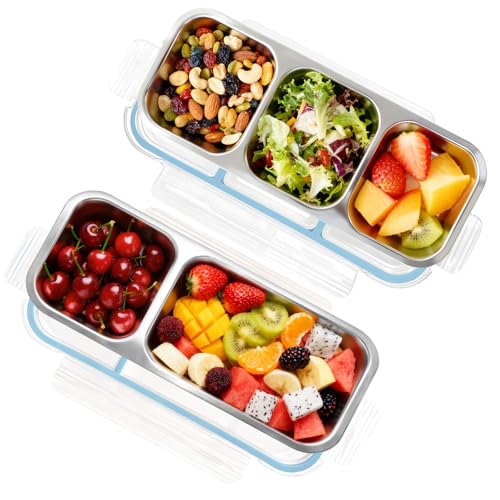 2-Piece Blue Stainless Steel Bento Box Set - 2+3 Compartment Leak-Proof Snackle Box, Reusable Snack Containers with Lids for Kids & Adults, Stainless Steel Lunch Box & Snack Pack Containers - color: 2+3 Compartments Blue