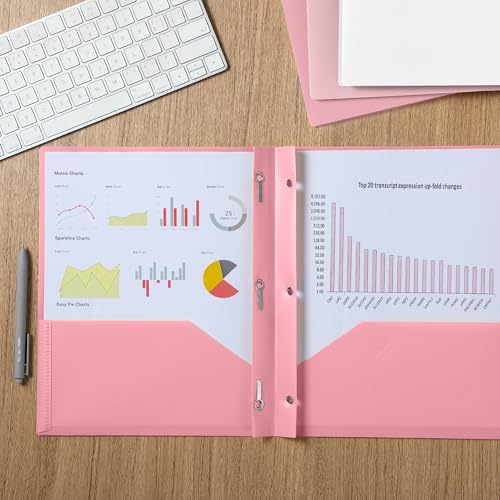 Mr. Pen- Plastic Folders with Pockets and Prongs, 5 Pack, Letter Size | File Folders with Fasteners, 2 Pocket Folder - color: Dusty Rose, size: 5 Pack