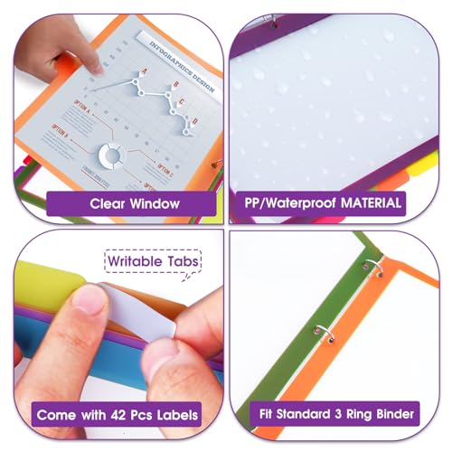 8Tab Binder Dividers with Tabs, 16PCS/2 Set Letter Size Page Dividers for 3 Ring Binder, Clear Folder separators (16)