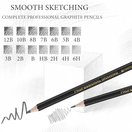 Heshengping Drawing Sketch Pencil Set 14pcs Sketching Pencils 12B 10B 8B 7B 6B 5B 4B 3B 2B B HB 2H 4H 6H Graphite Pencils for Kid Adults Artists Student Beginners Professional - color: Style3