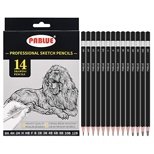 14Pcs Professional Graphite Sketch Pencils for Drawing (6H-12B) | Professional Triangular Graphite Pencils Set (6H,4H,2H,H,HB,F,B,2B,3B,4B,6B,8B,10B,12B) for All Drawing and Shading Needs